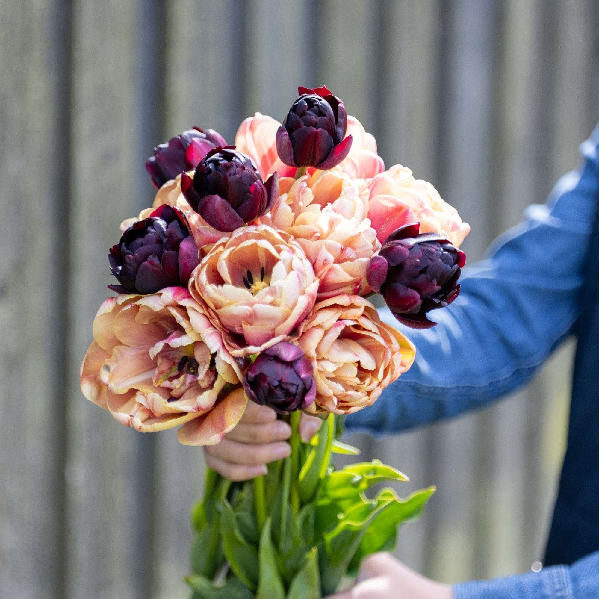 Tulpenmischung 'Nadjas'